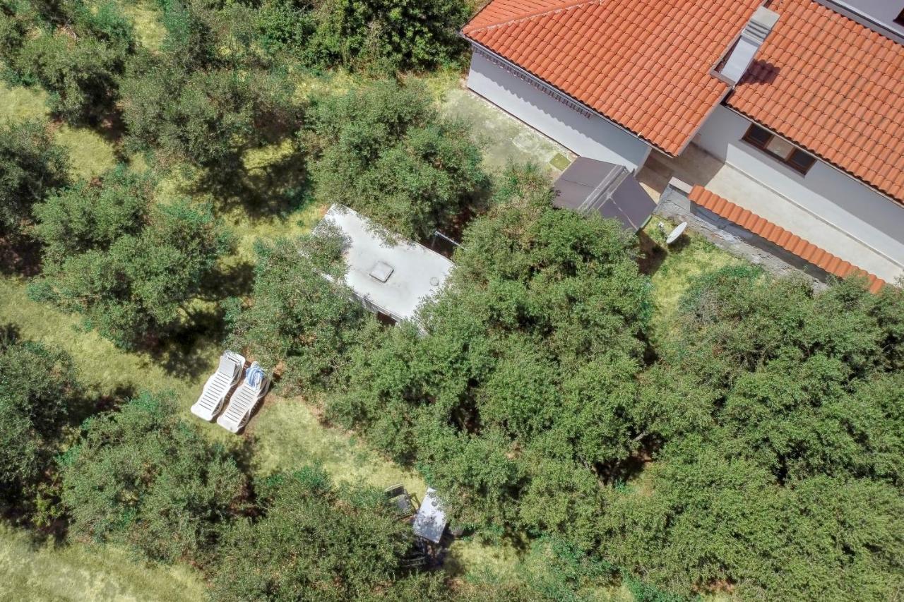 Camping Jacuzi In The Olive Grove *