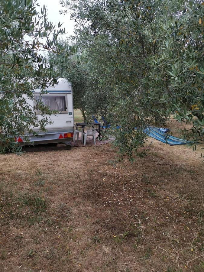 Camping Jacuzi In The Olive Grove Pula