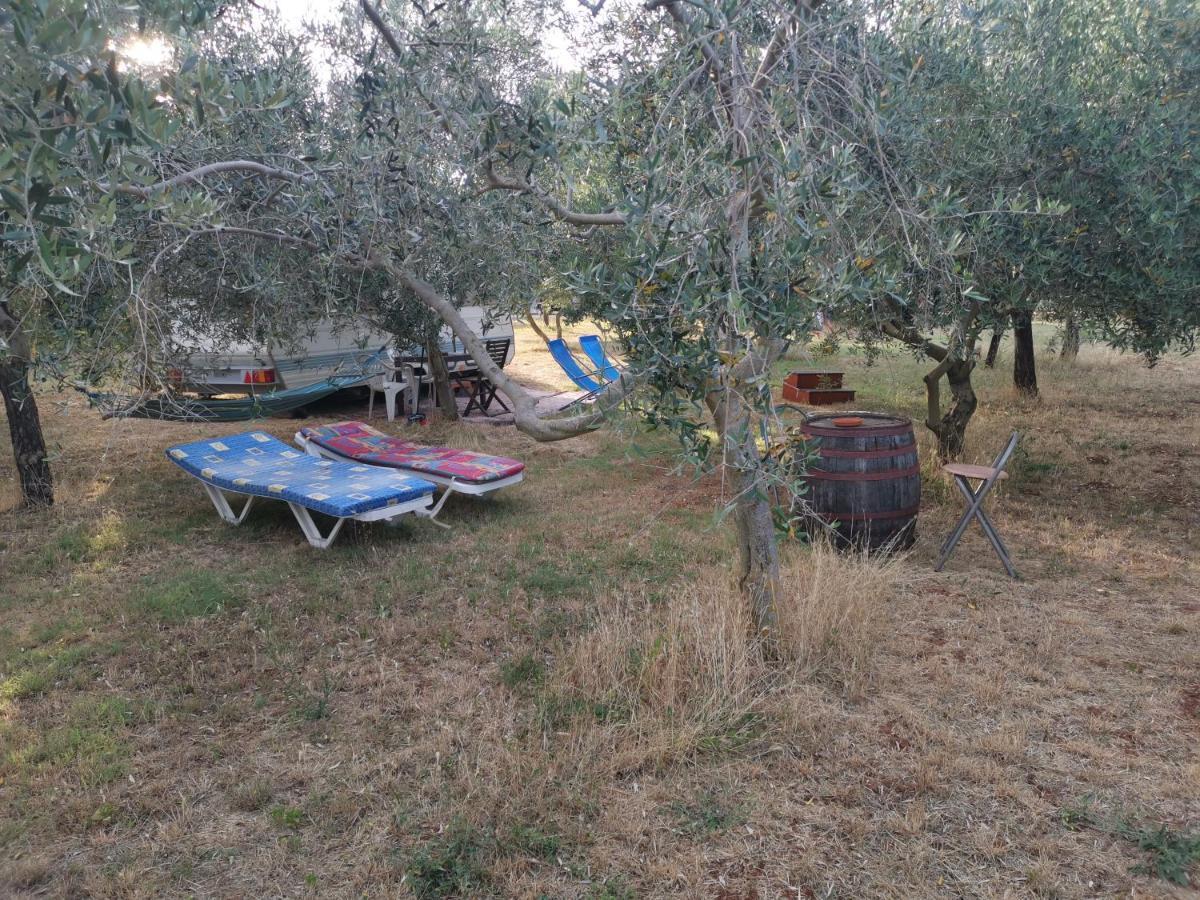 Jacuzi In The Olive Grove Camping Pula