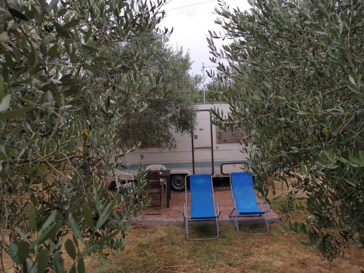 Jacuzi In The Olive Grove Camping *