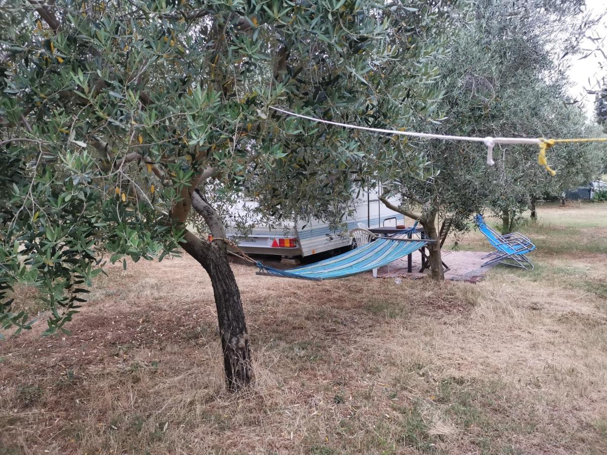 Jacuzi In The Olive Grove Camping