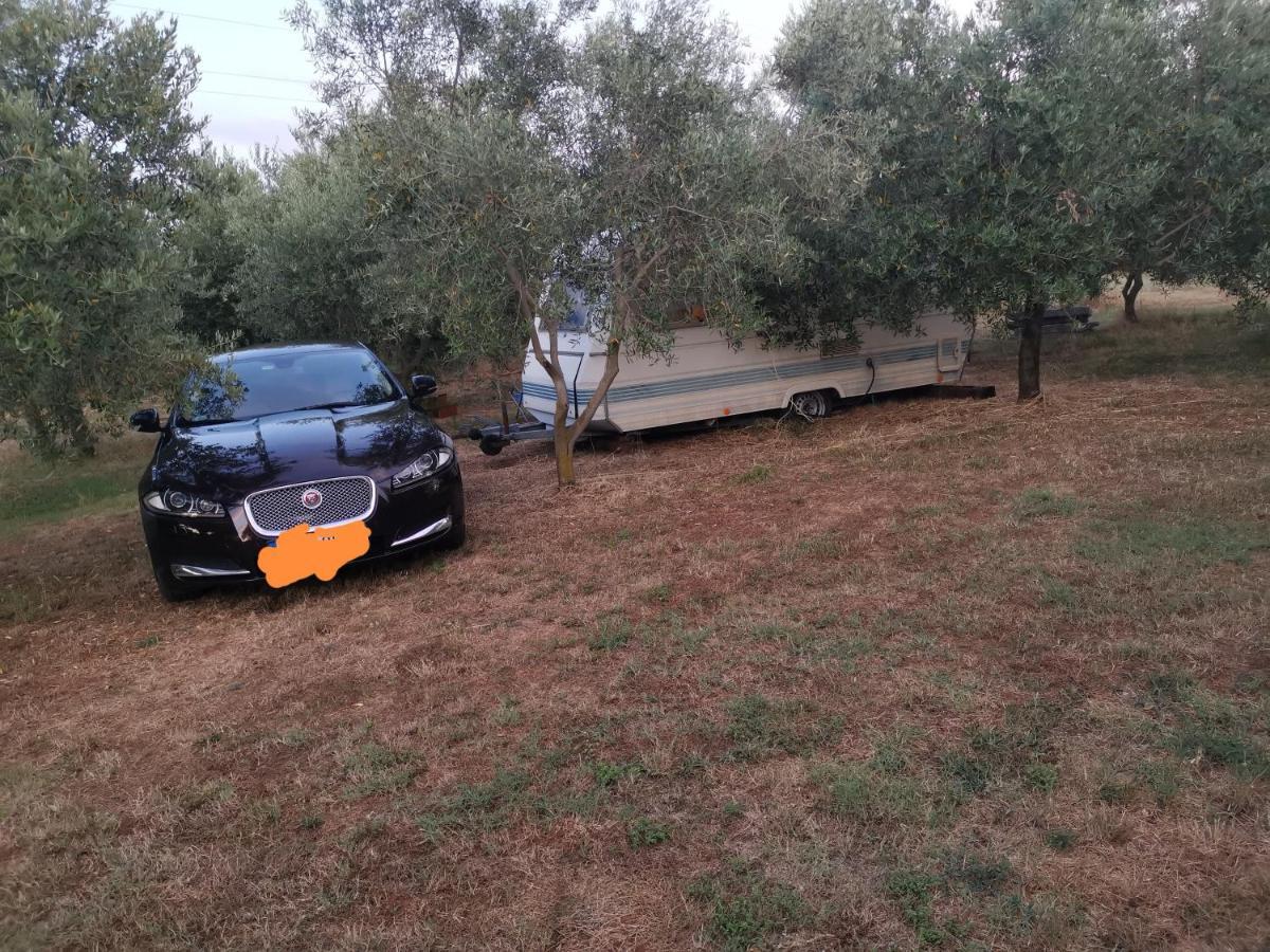 Jacuzi In The Olive Grove Pula
