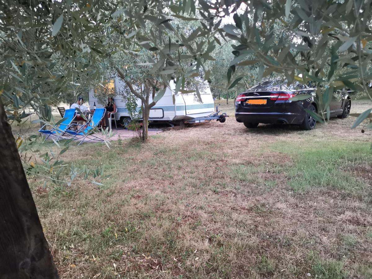 Camping Jacuzi In The Olive Grove Pula