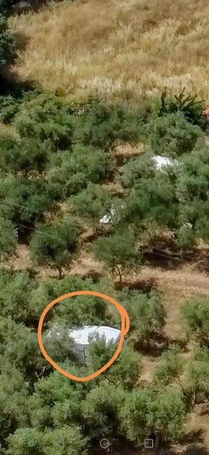 Jacuzi In The Olive Grove