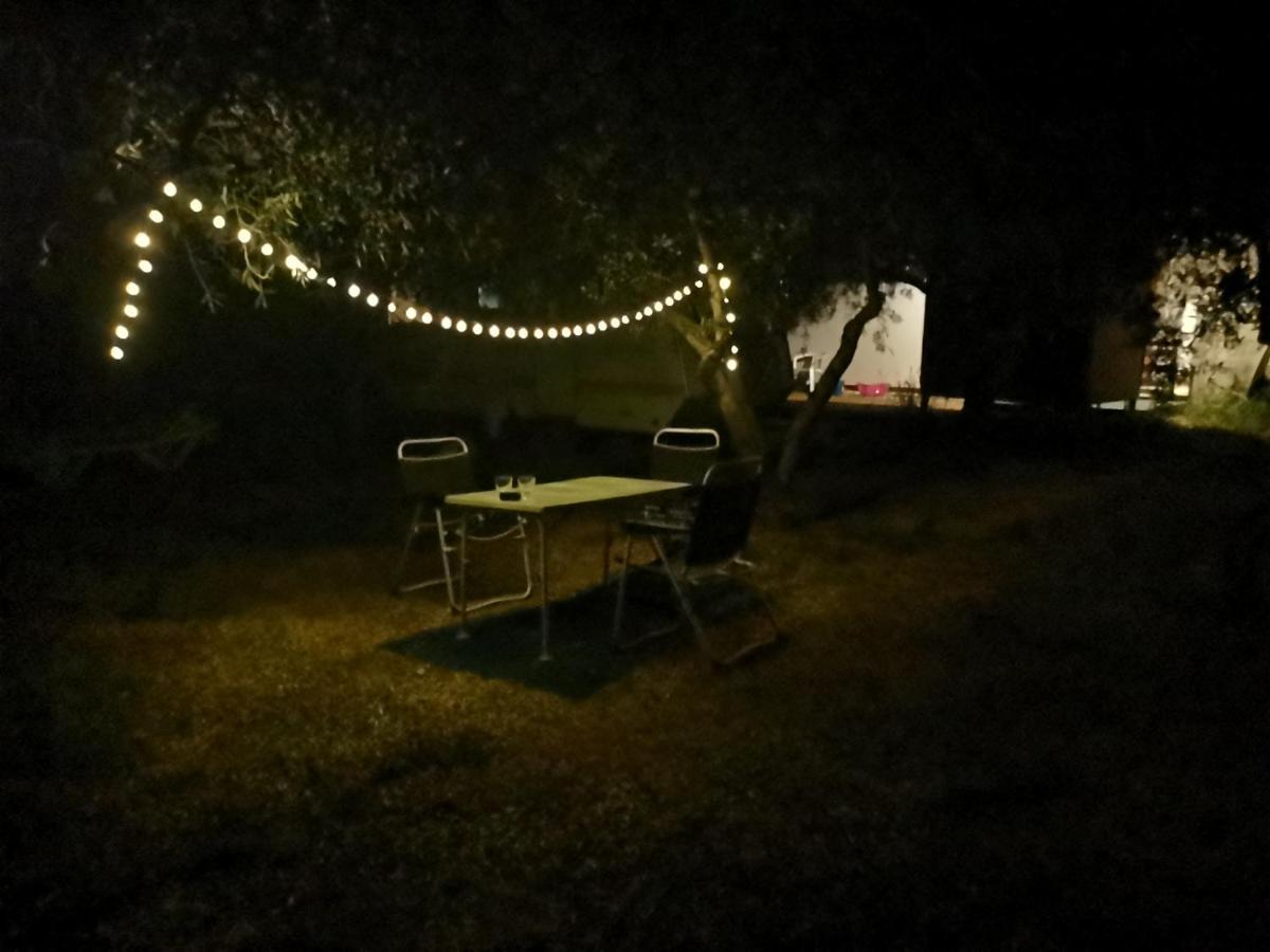 Jacuzi In The Olive Grove *