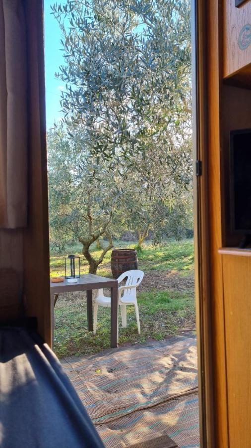 Jacuzi In The Olive Grove Camping Pula