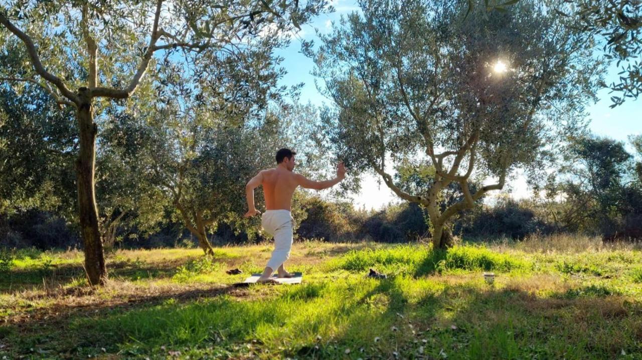 Camping Jacuzi In The Olive Grove