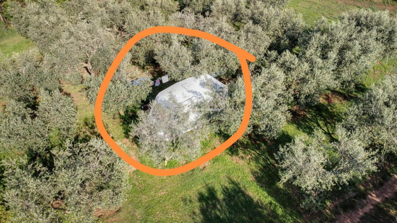 Jacuzi In The Olive Grove *
