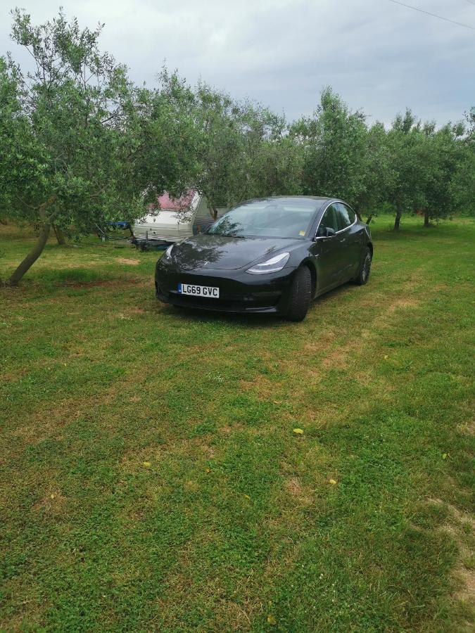 Camping Jacuzi In The Olive Grove Pula