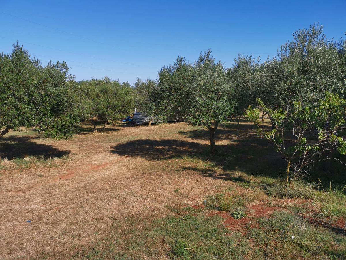 Jacuzi In The Olive Grove Campsite Pula