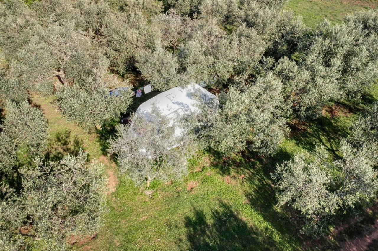 Campsite Jacuzi In The Olive Grove Pula